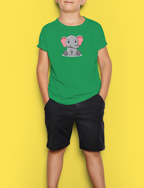 Boys Short Sleeve Graphic Cotton Printed T-Shirt | Fashion Baby Boy
